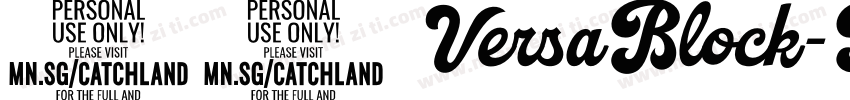 41 VersaBlock-Personal-Use-Only字体转换
